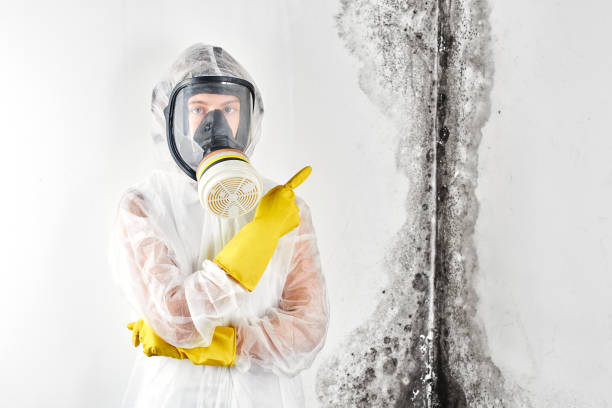 Best Mold Remediation for Healthcare Facilities  in Elburn, IL