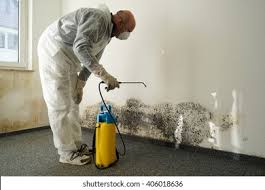 Environmental Consulting for Mold Prevention in Elburn, IL